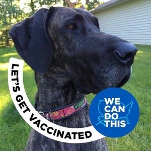 Meet your Posher, Deb